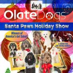 Gallery 1 - Santa Paws Holiday Show