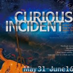 Gallery 1 - The Curious Incident of the Dog in the Night-Time