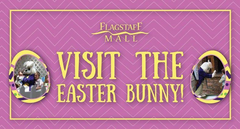 Gallery 1 - Easter Bunny Visits and Photos