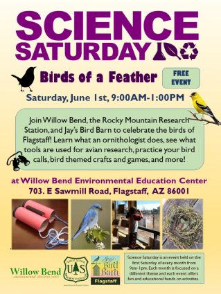 Gallery 1 - Science Saturday: Birds of a Feather