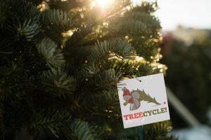 City of Flagstaff Treecycling
