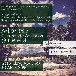 Arbor Day Clean-Up-a-Looza at The Arb