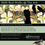 Bird Walks at The Arb