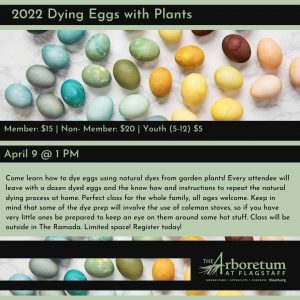 Dying Easter Eggs with Plants