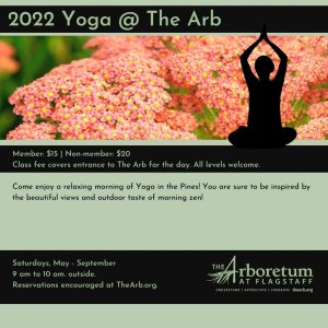 Yoga at The Arb