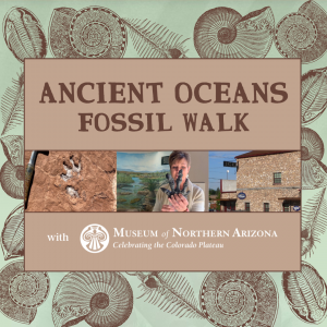 Ancient Oceans Fossil Walk