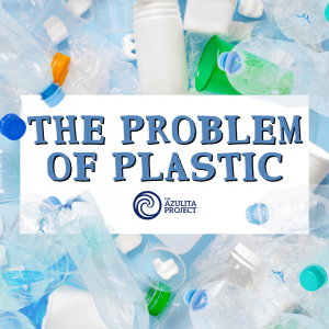 The Problem of Plastic