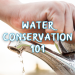 Water Conservation 101