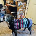 Crochet Dog Sweater: Adult Workshop