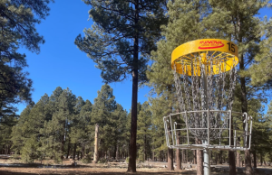 Learn to Disc Golf