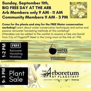 Fall Plant Sale and Water Conservation Workshop!