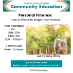Personal Finance (3 series course) : How to effectively budget your finances