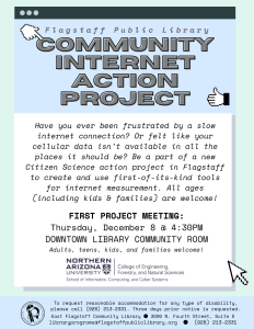 Community Internet Action Project