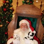 Paws and Claus - Pet Photo's