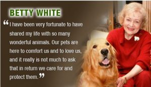 Betty White Challenge Pet Adoption Event