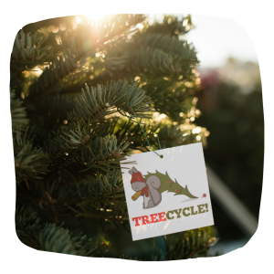 Holiday Tree Recycling