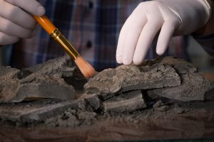 Science Saturday: Awesome Archaeology