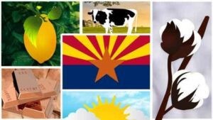 Science Saturday: The Five C's of Arizona