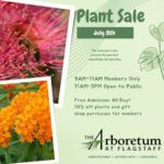 Summer Plant Sale