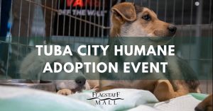 Tuba City Humane Society Monthly Adoption Event at Flagstaff Mall